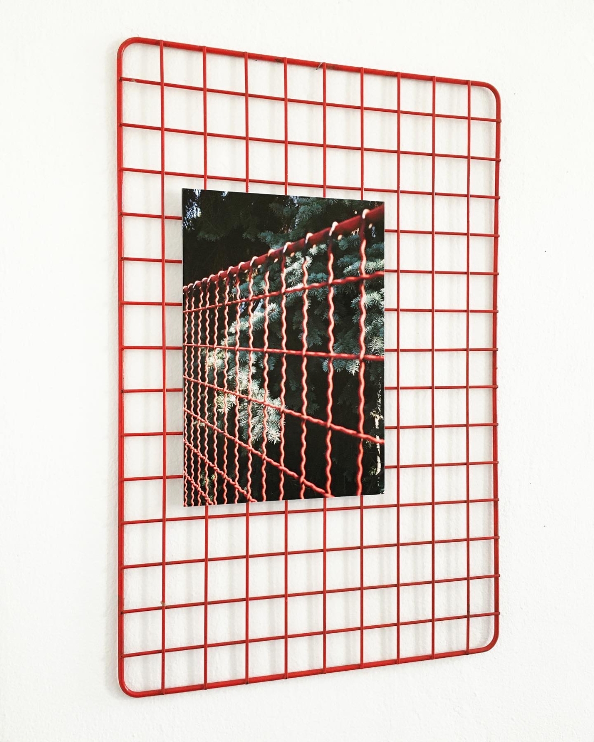 2021-09-01 12.15.03